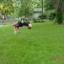 Kyle Needham Photo 23