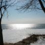 Barbara Moss Photo 28