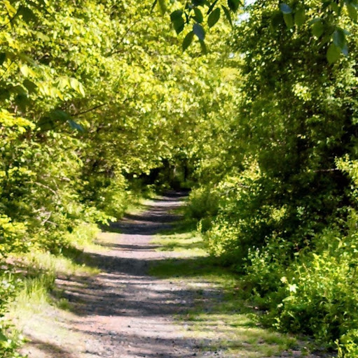 Henry Talbot Photo 12