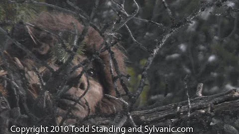 Todd Stanley Photo 2