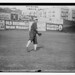 George Fournier Photo 27
