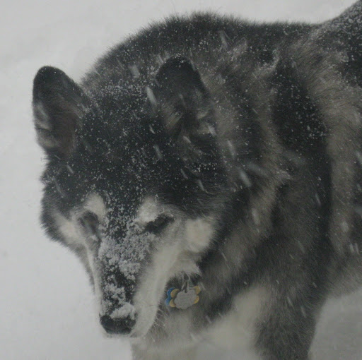Ted Albrecht Photo 7