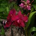 Elaine Taylor Photo 44