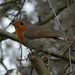 Dean Clements Photo 31