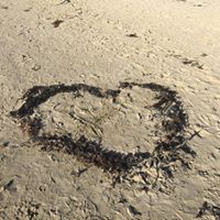 Karen Halvorsen Photo 8
