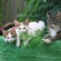 Debra Becker Photo 28