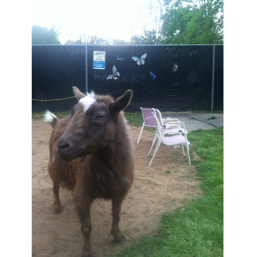 John Olcese Photo 7
