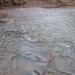 Glenn Scherer Photo 18