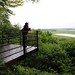 Michael Gessel Photo 16