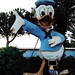 Donald Luna Photo 17
