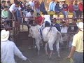 Arturo Salgado Photo 27