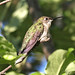 Richard Murrell Photo 35