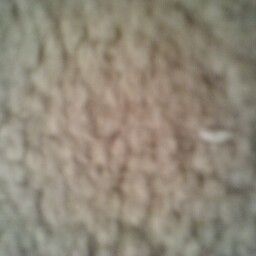 Beth Wiseman Photo 11