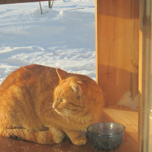 Sherry Cahill Photo 7