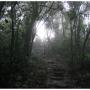 Justin Gray Photo 31