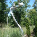 Michael Wind Photo 30