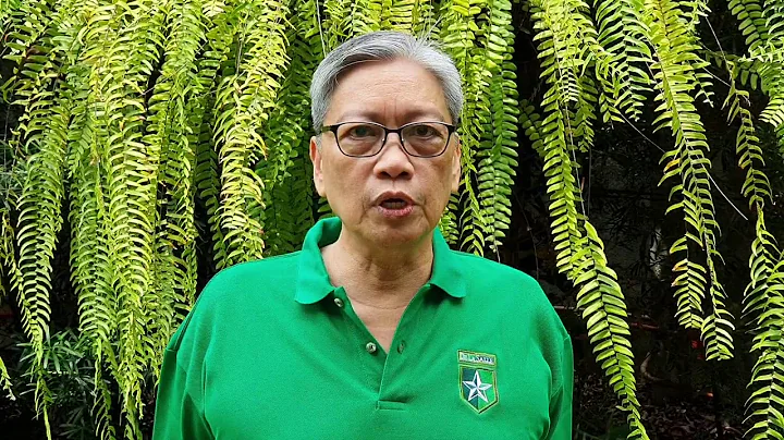 Ed Chua Photo 15