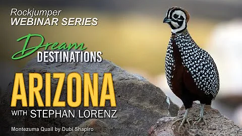 Stephen Lorenz Photo 21