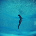 Siddharth Sharma Photo 33