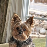 Sharon Geraci Photo 1