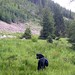 Charley Meadows Photo 14