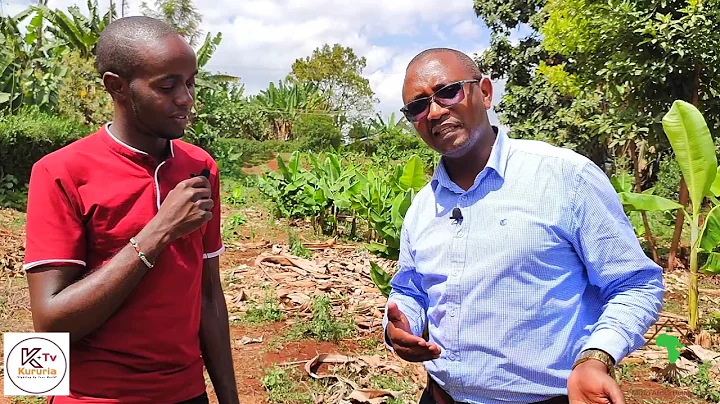 George Mburu Photo 18