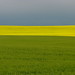 Bob Barley Photo 35