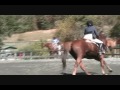 Carol Tryon Photo 11