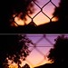 Daniel Mcalpine Photo 32