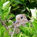 Marianne Hatch Photo 21