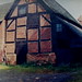 Hazel Hill Photo 42