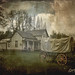 Phillip Foster Photo 41