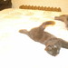 Murphy Bailey Photo 24
