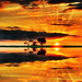 James Mein Photo 14