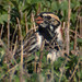 Jeff Newton Photo 37