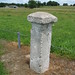 Rich Hills Photo 20
