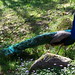 Michelle Peacock Photo 48