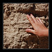 Kelly Hand Photo 39