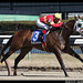Fred Castaneda Photo 25