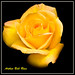 Arthur Rose Photo 42