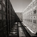 Charles Rouleau Photo 21