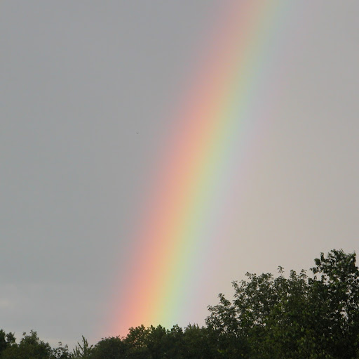 Stephen Farber Photo 5
