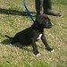 Marla Chambers Photo 24