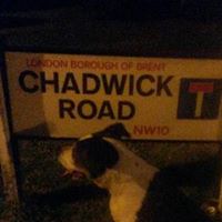 Wayne Chadwick Photo 4