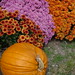 Carolyn Cousin Photo 22