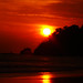 Manuel Antonio Photo 43