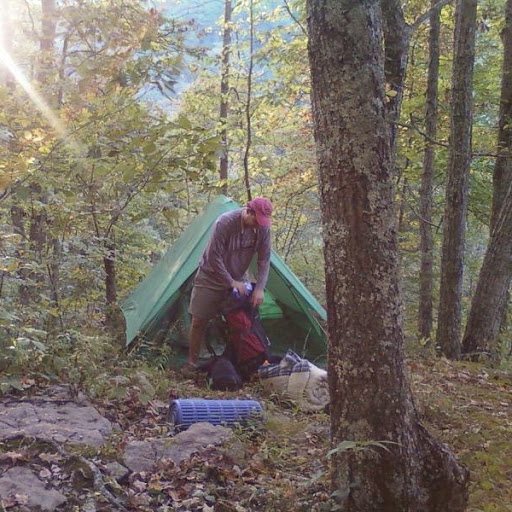 Nicholas Hart Photo 11