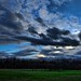 Chris Pledger Photo 20