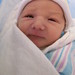 Andrew Peek Photo 35