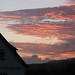 Betty Cottle Photo 16